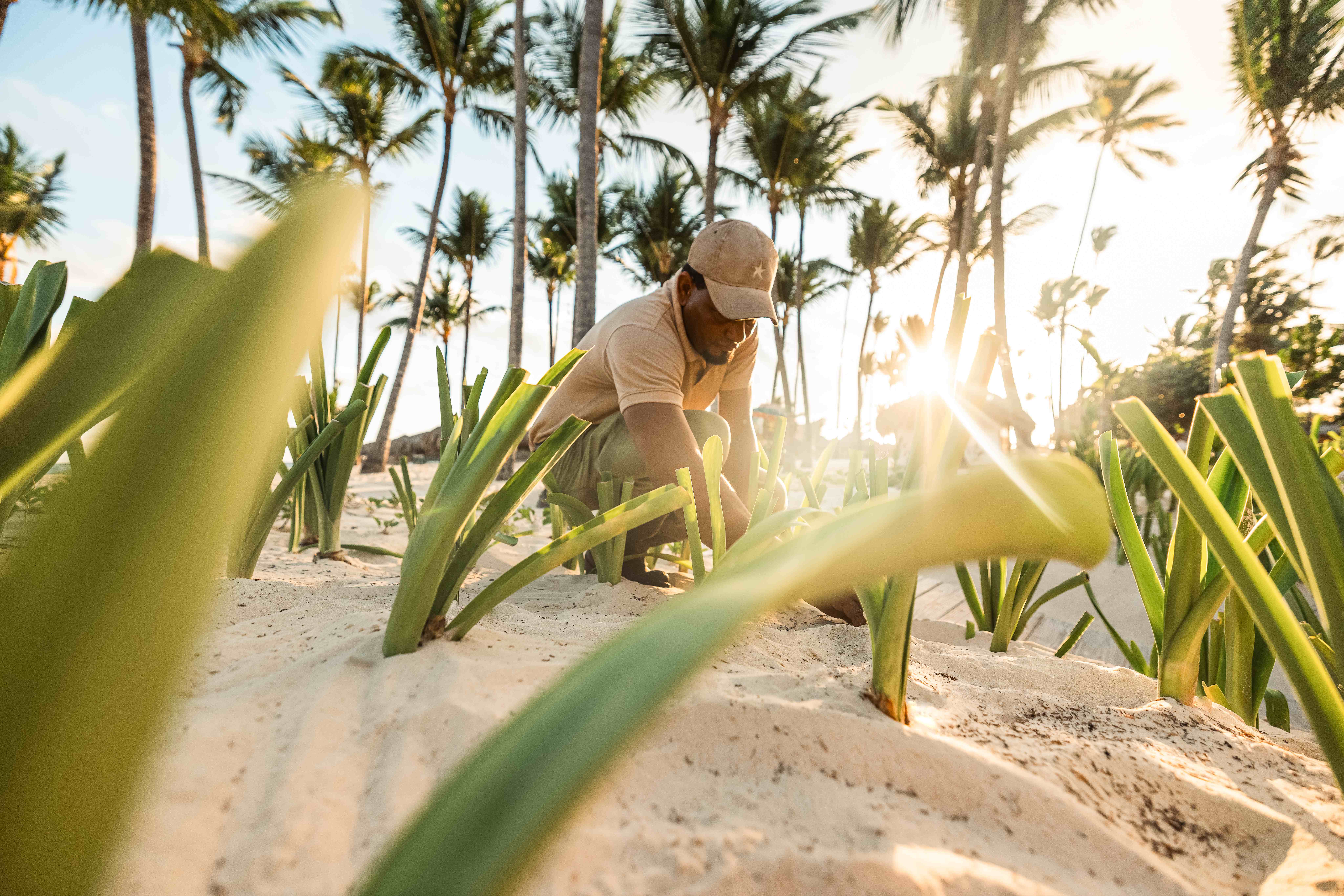"Iberostar Wave of Change" – Wie Gäste die Nachhaltigkeitsinitiativen erleben